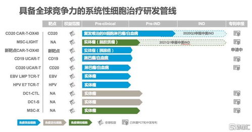 從單點突破到生態構建 中國生物科技服務（08037.HK）——臨床驅動的細胞治療與中國策略的技術轉讓新邏輯