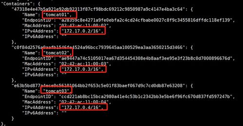 Docker網絡詳解 Java開發者的技術咨詢